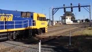 Junee Trains NR83, NR106 & NR8 WITH 3PW4