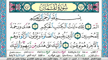 سورة لقمان سعد الغامدي ملون صفحة صفحة جودة عالية