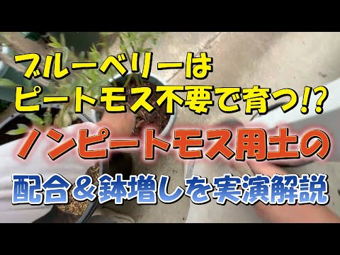 きっと良いGardenの動画サムネイル