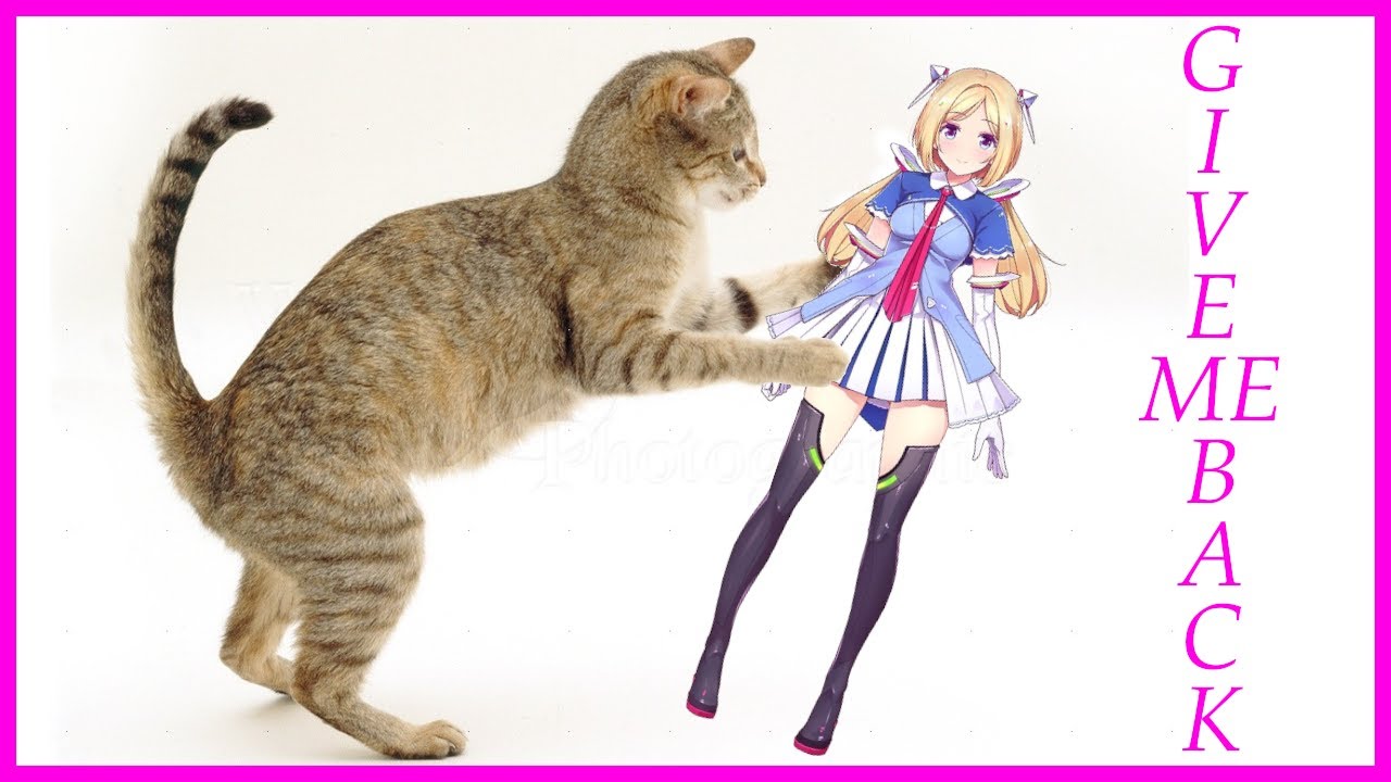 Akirose turns into a Cat toy [Hololive]