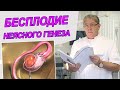 Бесплодие неясного генеза: что делать? Идиопатическое бесплодие