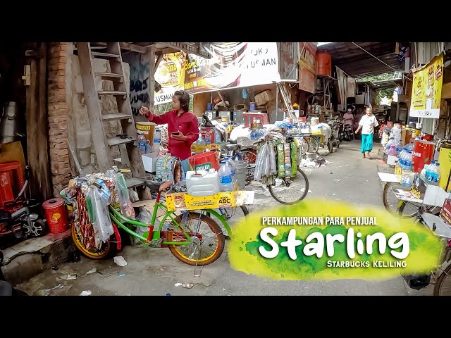 Melihat dari dekat Aktivitas di Kampung STARLING (STARBUCK KELILING) | Penjual Kopi Keliling class=