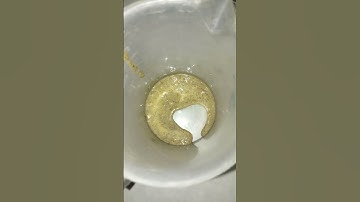 Rumen fluid collection and rumen microbes under the microscope #study