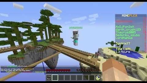 Mineplex Fly hacker in bridges