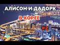 [Классика] Невероятные приключения Алисона, Дадорка и Славы в Корее #2 [07.2019]