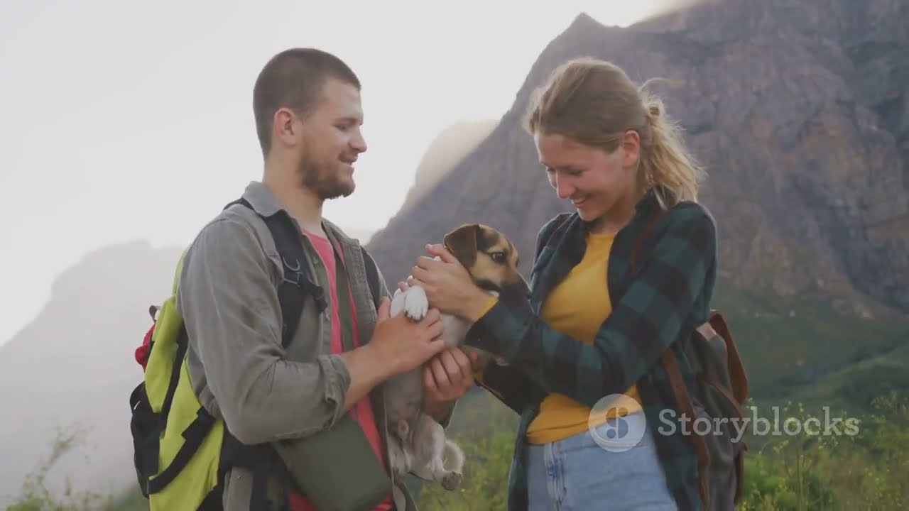 Swiss Adventures  Dog Walks, Lighthouses