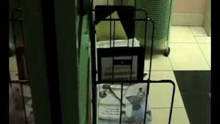 Novit-Still Life-Small