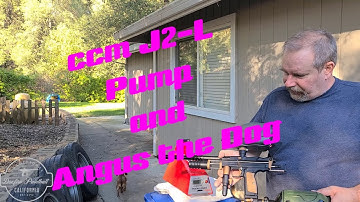 CCM J2-L & Angus the Dog