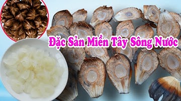 Đặc Sản Miền Tây / Dừa Nước Quê Tôi / Trái Cây Ngon Miền Sông Nước