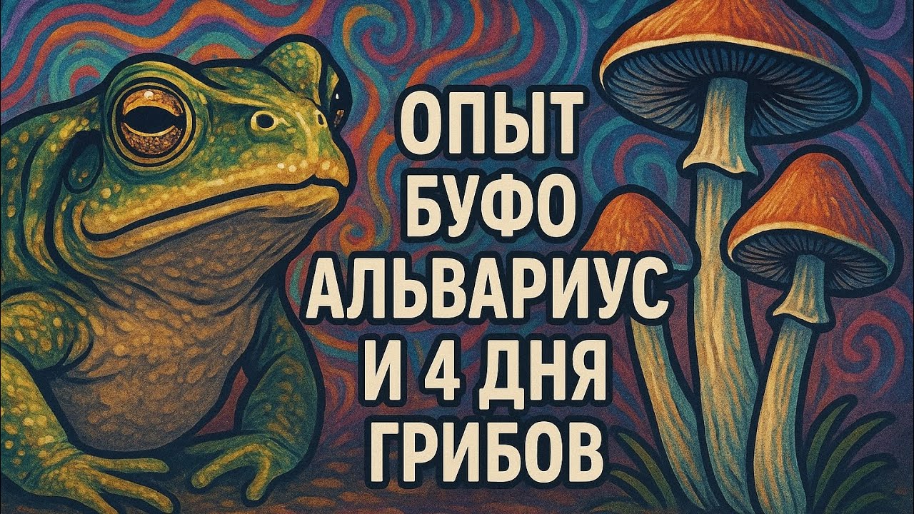 Опыт Буфо Альвариус и 4 дня Грибов на Ямайке