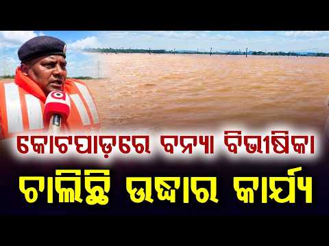 Severe Flood In Kotpad; Areas Submerged, Rescue Operation On Via Boats | Argus News