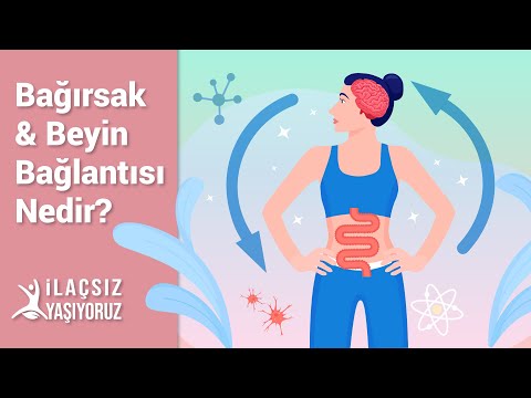 Bağırsak & Beyin Bağlantısı Nedir❓