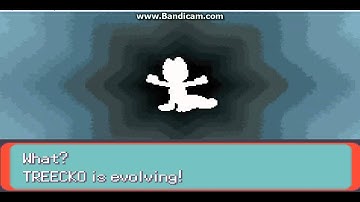 Pokemon Emerald - Treecko Evolving Into Grovyle