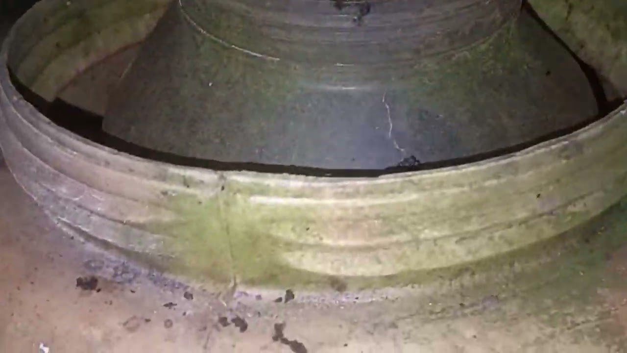 കറിവേപ്പ്റൗണ്ടിൽതൊലികളഞ്ഞ്തണ്ട്പിളർത്തിഈർക്കിൽവെച്ച്അകത്തിഉള്ളിമുറിച്ച്മുറിവിൽഉരച്ച്AirLayringചെയ്തു