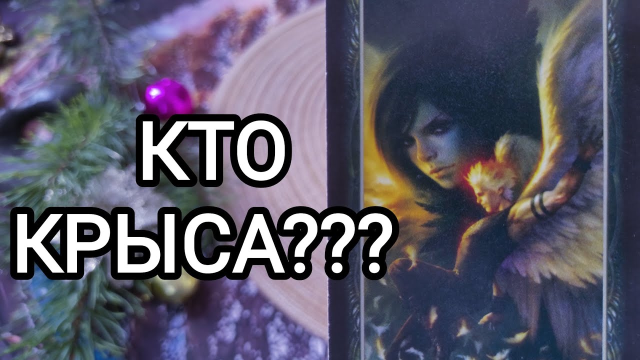 🍀без камней🍀КТО КРЫСА??? 