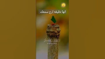 #قران_كريم_ارح_سمعك_وقلبك تلاوه هادئه انها دقيقه لا تهرب #foryou #fypシ #اكسبلور