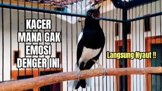 KACER GACOR KONSLET FULL ISIAN TEMBAKAN KASAR AMPUH MERANGSANG EMOSI KACER LAIN CEPAT ON KONSLET