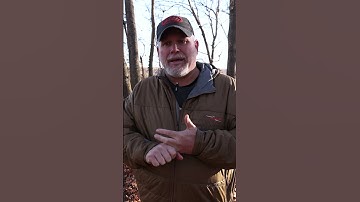 GOVERNMENT FUNDING FOR FOOD PLOTS AND TIMBER STAND IMPROVEMENT?!?! EQIP NRCS #hunting #shorts