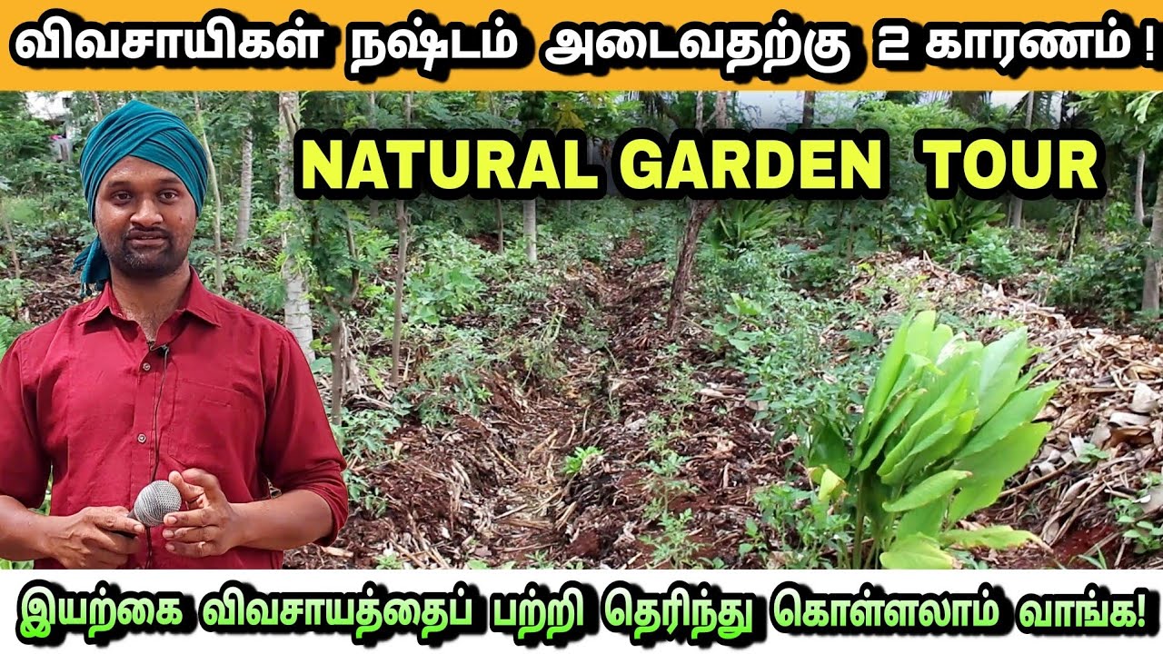இயற்கை தோட்டத்தை சுற்றிப் பார்க்கலாம் வாங்க! | Organic farming methods | Iyrakai vivasayam tips |