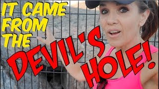 #241 Inside the Devil's Hole: Mysterious Water-Filled Cave With No Known Bottom!