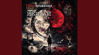 Лампочки - Трансильвания