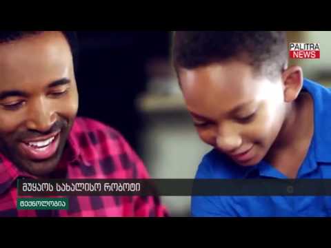 მუყაოს სახალისო რობოტი