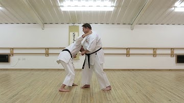 henka01 v3