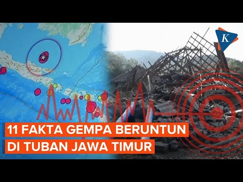 11 Fakta Gempa M 5,9 dan M 6,5 di Tuban Jawa Timur