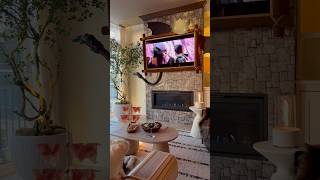 DIY Movie Night: How to Train Your Dragon