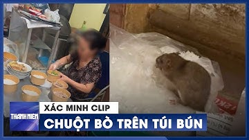 Xác minh clip "chuột bò trên túi bún" ở Hà Nội khiến người dân rùng mình