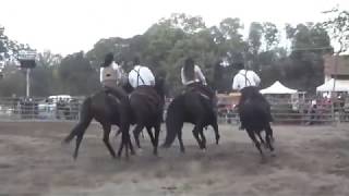 Cavalieri di Monteriggioni, Rassegna Cavallo Maremmano Grosseto 2012
