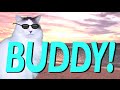 HAPPY BIRTHDAY BUDDY! - EPIC CAT Happy Birthday Song