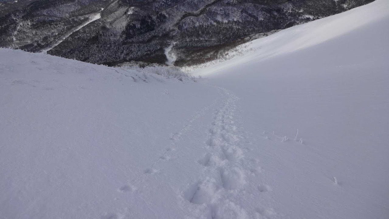 【横手口沢】伯耆大山（鳥取県）バックカントリースキー