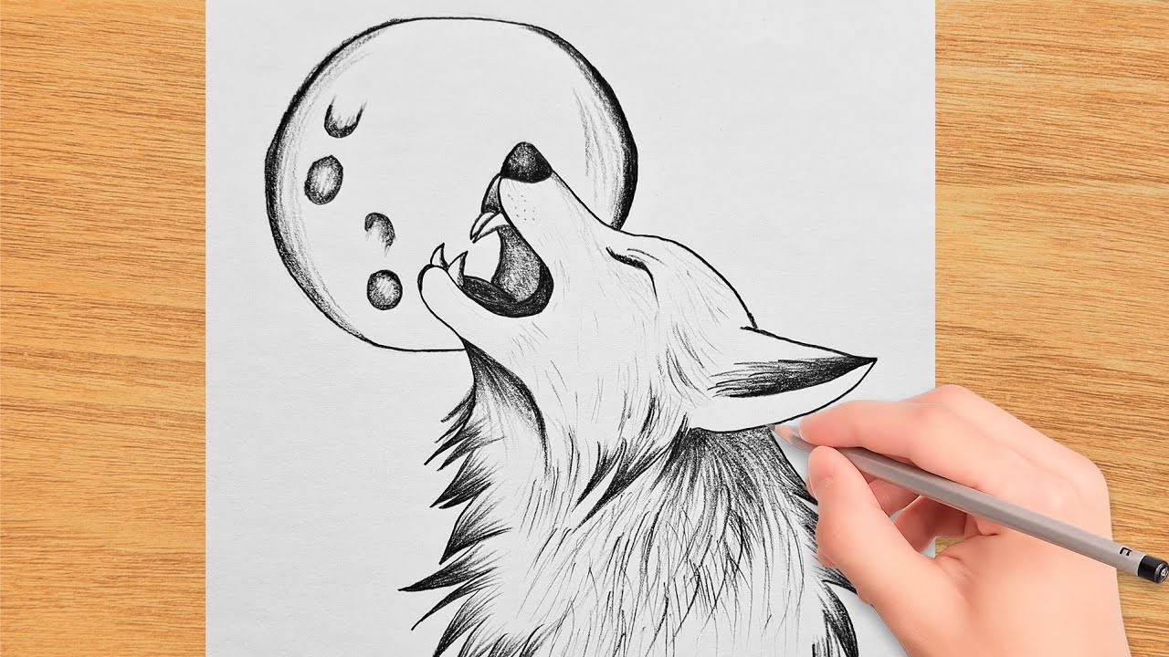 How to Draw wolf howling Easy || Pencil Drawing for Beginners - YouTube