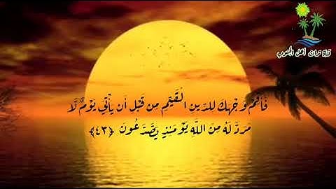 القران الكـــريم (ســـورة الــروم ) بصوت القارئ ابـــراهيم الشــمري
