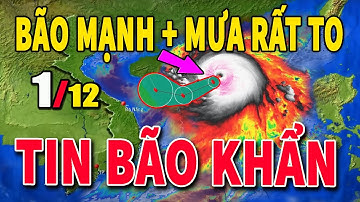 Dự báo thời tiết hôm nay và ngày mai 1/12 Dự báo thời tiết trong 3 ngày tới #thoitiet