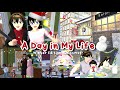 A Day in My life 🎄🌨️Winter , Christmas Edition • Sakura School Simulator