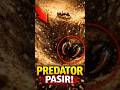 Predator Pasir! Undur-Undur Kecil yang Mematikan! #edukasi #negaradidunia #faktaunik #faktadunia