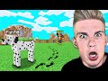 ZGUBIŁEM mojego PSA w Minecraft... (smutne)