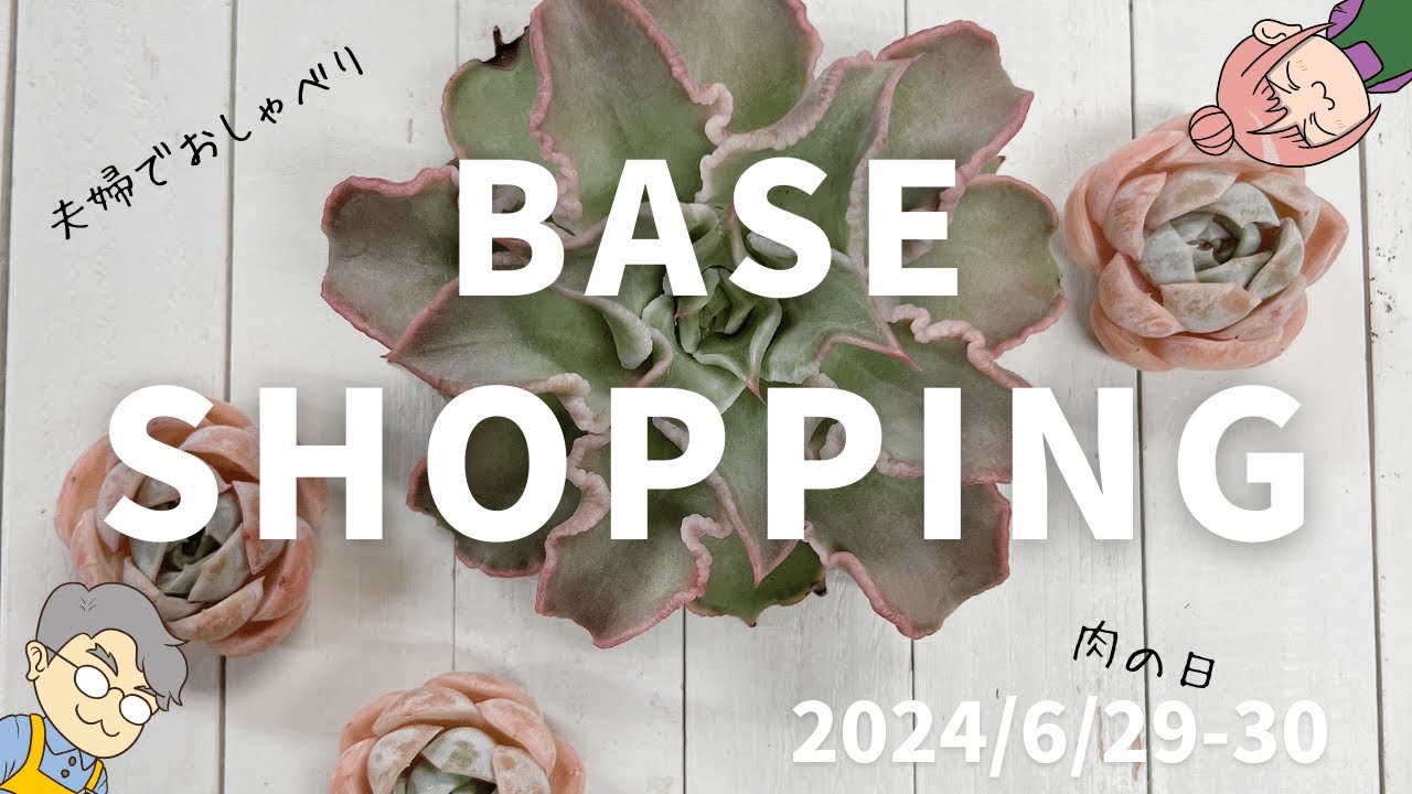 多肉植物】BASE通販の多肉苗紹介！今回も苗を紹介しながら夫婦で