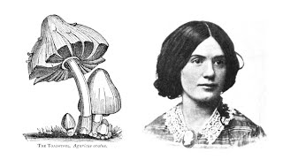 Beautiful Free Vintage Illustrations, Art, Photography, Ephemera, from year 1894 and 1836 Beautiful Free Vintage Illustrations, Art, Photography, Ephemera, from year 1894 and 1836