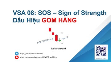 VSA 08: SOS – Sign of Strength - Dấu Hiệu GOM HÀNG