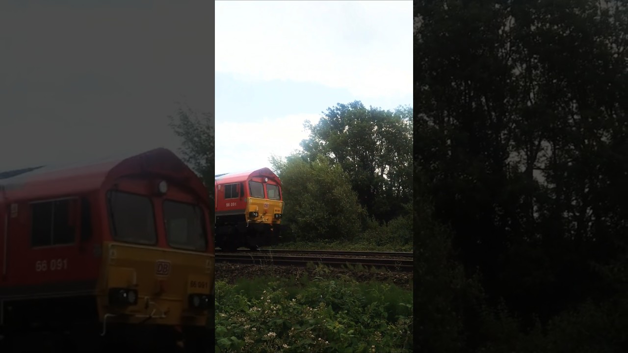 game zombie miễn phí DB Cargo 66090 Clas66 DB train trainspotting railway