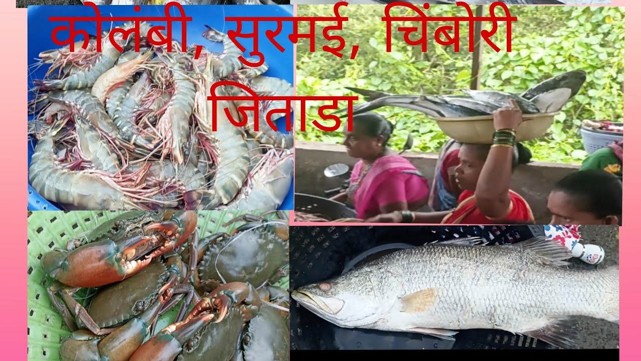 रेवदंड्याच्या बंदरावरील मासळी  बाजार Revdanda Beach Fish Market