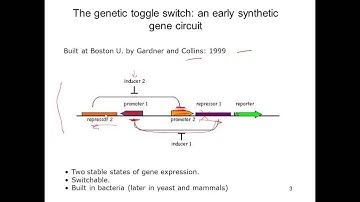 L07V03a Gene Circuits