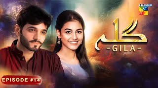 Gila Episode 14 [ Wahaj Ali - Anzela Abbasi ] Best Pakistani Serial - HUM TV