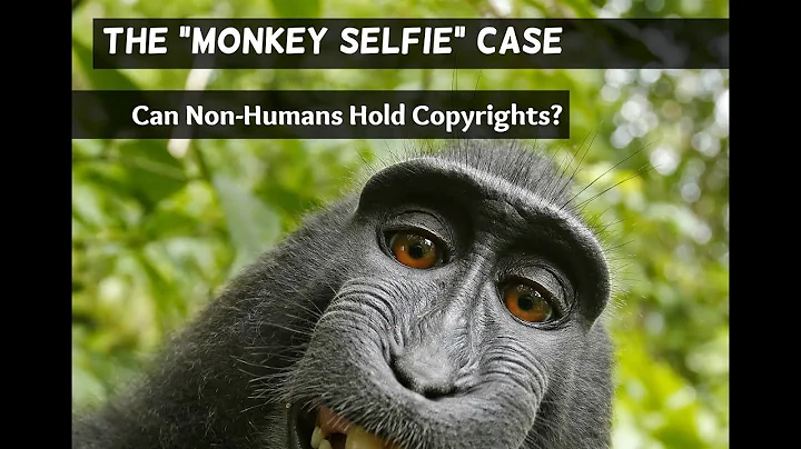 The “Monkey Selfie” Case: Can Non-Humans Hold Copyrights?