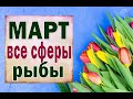 РЫБЫ 🌺 МАРТ 2021 (РАБОТА, ЛЮБОВЬ, ДЕНЬГИ, ДОМ, СЮРПРИЗ и т.д.)Таро прогноз гороскоп