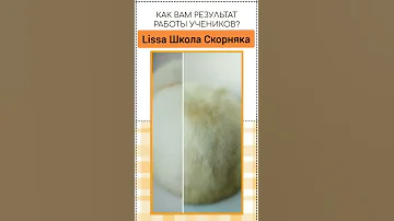 Чистка белого меха. Снятие желтизны на мехе