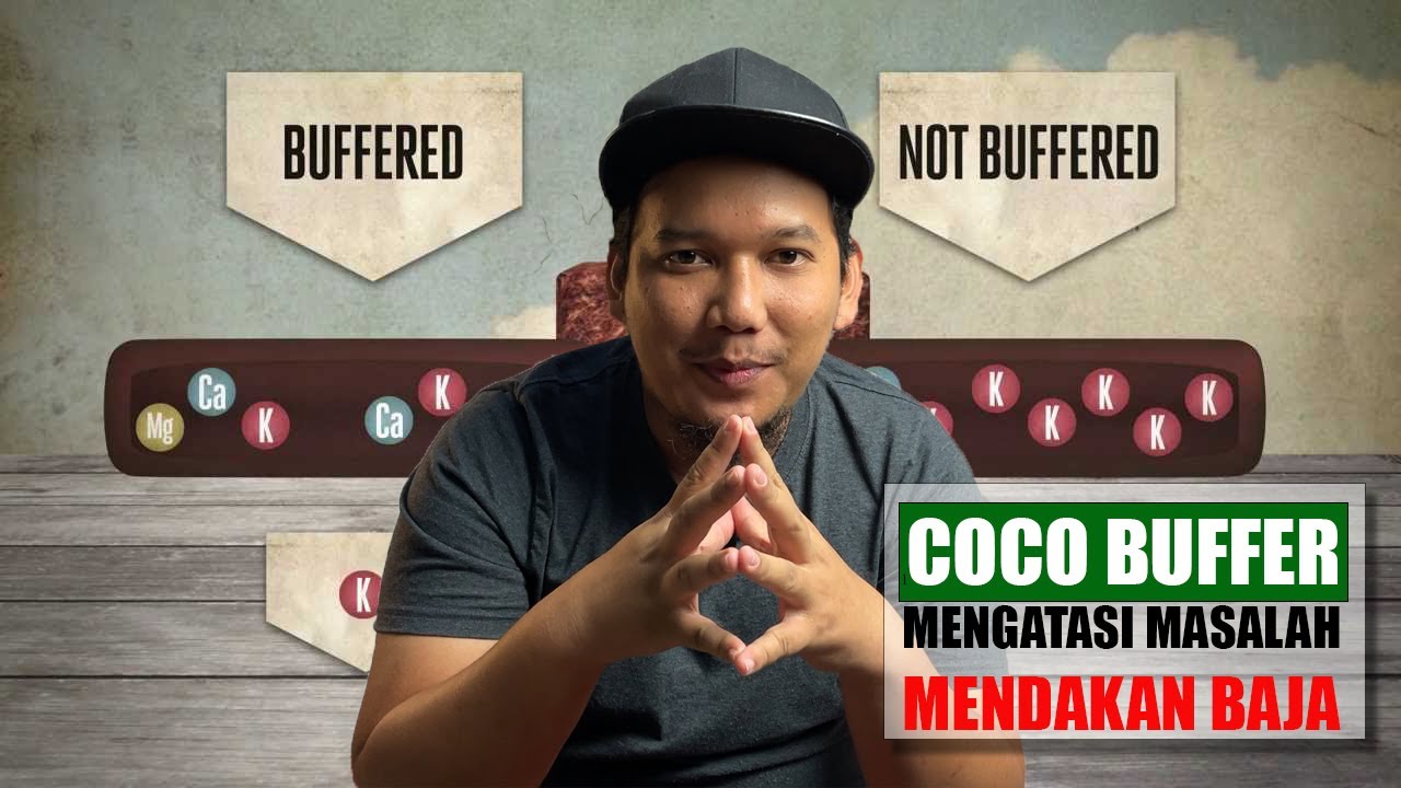 [ BASIC 7# ] Teknik cuci cocopeat dengan betul | Coco Buffer - YouTube